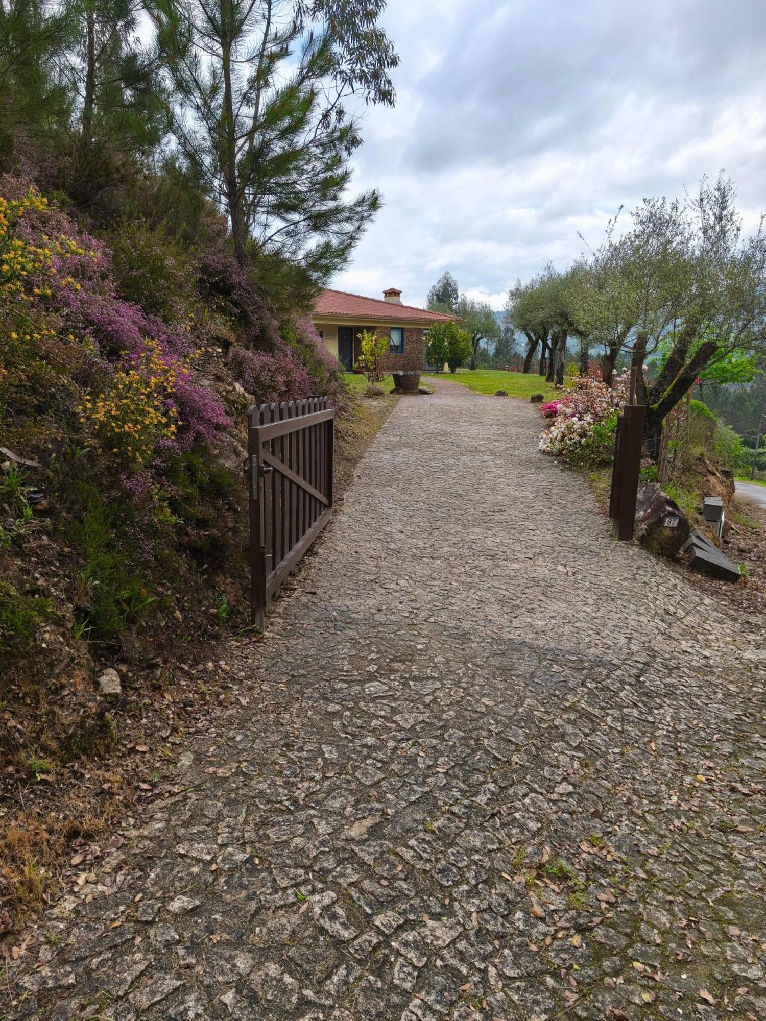 Boavista Country Houses No 87 Cabeceiras de Basto Exterior foto